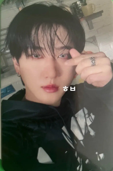Stray Kids Skzoo Plush + Special Gift Changbin