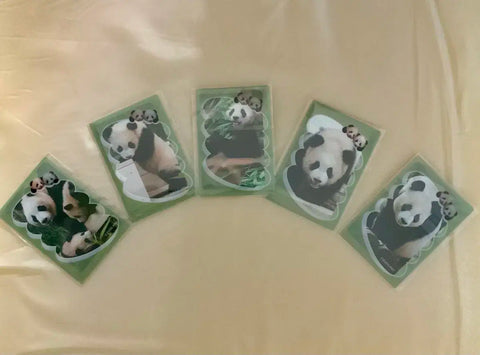 Ddunppang Madeleine Random Photo Card File 5 Types