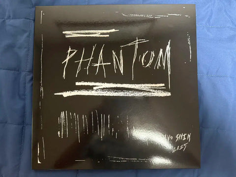 Phantom Park Hyo Shin LP Poster