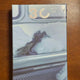 DAY6 Sungjin 1st Album Unopened