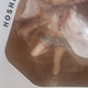 TENITOL Hoshikawa Sara Figure