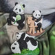 Fubao Magnet Set