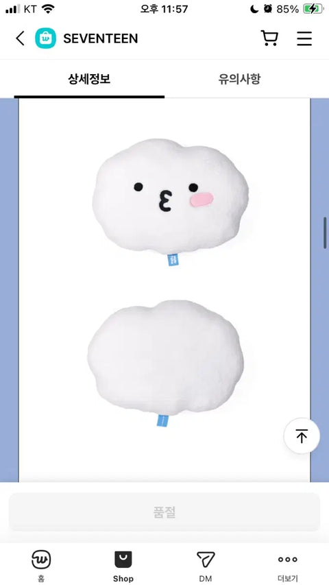 Seventeen Mini Teen Pyoful Cushion