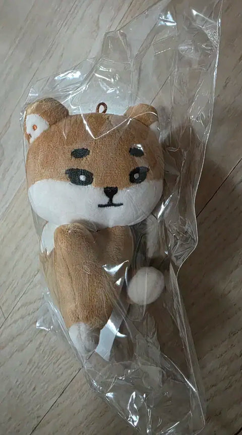 DAY6 Denimals Hand Warmer K Original Price Transfer