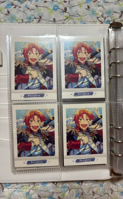 Ensemble Stars Knights Leo Thanksgiving Festival Pasha set