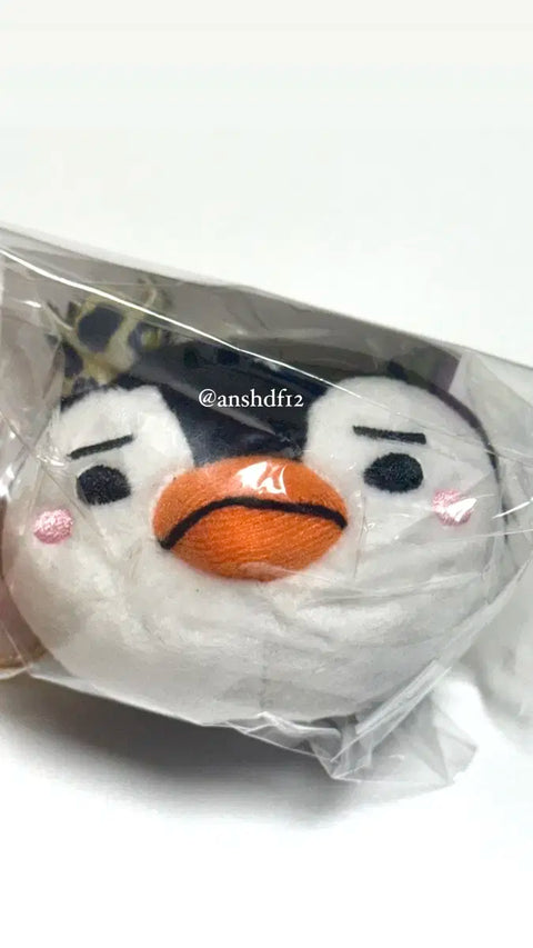 Lee Junho Bimina Japan Concert Peng-tham Keyring
