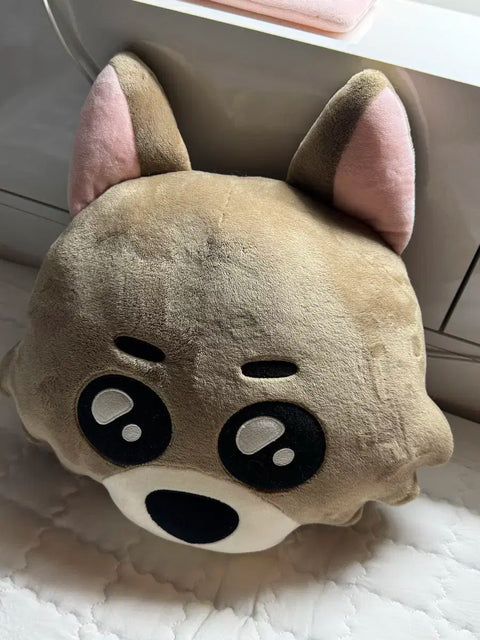Selling Ppunekdo Myung Jae-hyun naming cushion.
