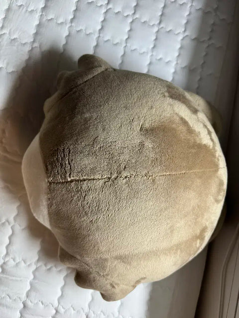 Selling Ppunekdo Myung Jae-hyun naming cushion.