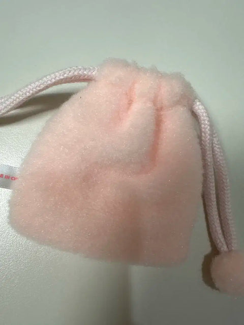 IVE Lee-seo's pouch