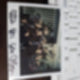 OnlyOneOf group signed polaroid