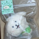 NCT WISH - WISH DOLL Daengtriever