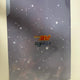 Detective Conan: The Black Knight's Mystery (The Black Shadow) Special Clear File