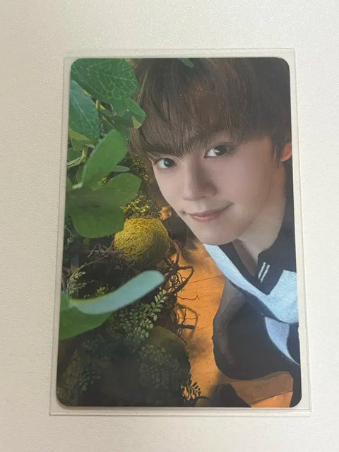 Timeless World CGV Special Gift Gyubin