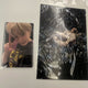 Jimin Muse Universal Japan Limited Edition Photocard Postcard