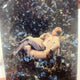 Jimin Muse Universal Japan Limited Edition Photocard Postcard