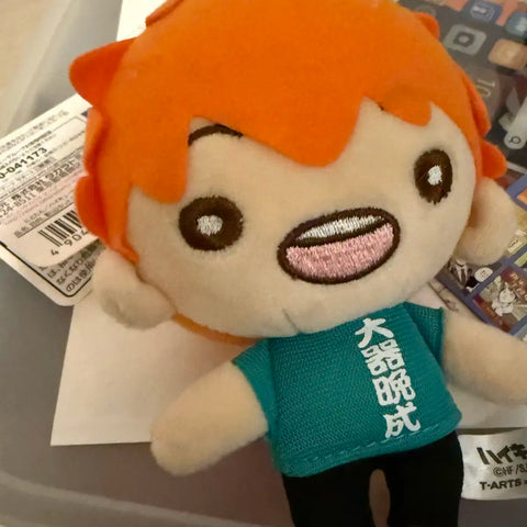 Haikyu Hinata Nitotan