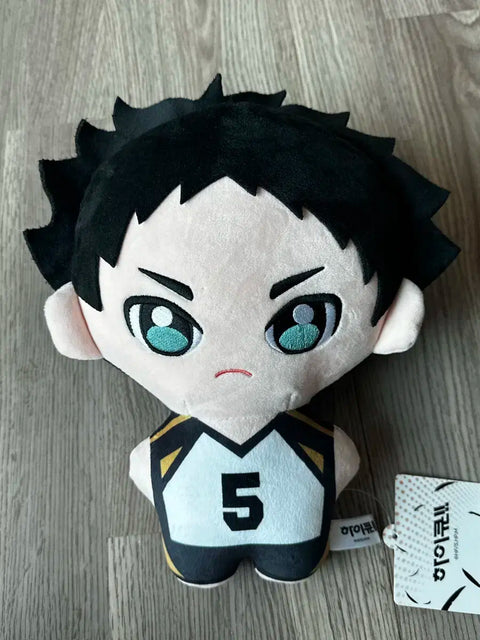 Haikyuu Akaashi doll, new product