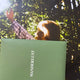 WANDERLUST Photobook Green Postcard Set