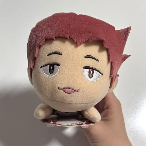 Haikyu Tendou Nui Doll Flying Receive