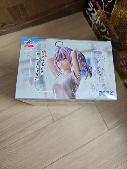 Occasionally, a shy Russian-blushing Ara-Yang Ara bishoujo figure in a gym uniform.