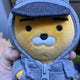 DP Lion