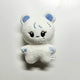 Selling all photos,) SEVENTEEN Seungkwan Boo Bear doll for sale, Jeonghan Caratland