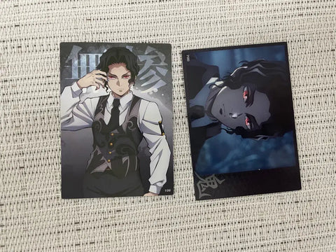 Demon Slayer: Kimetsu no Yaiba Muzan Kibutsuji Card 2 Types CGV Collecting Profile