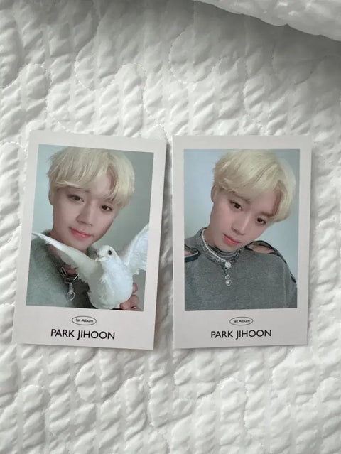 Park Jihoon photocard