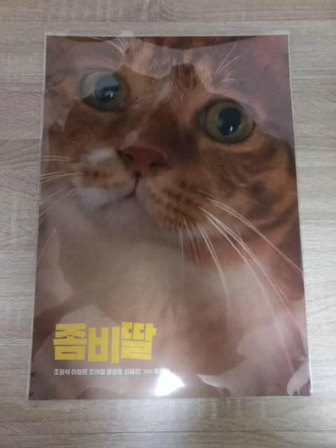 Zombie Daughter's Beloved Ae-yong Poster