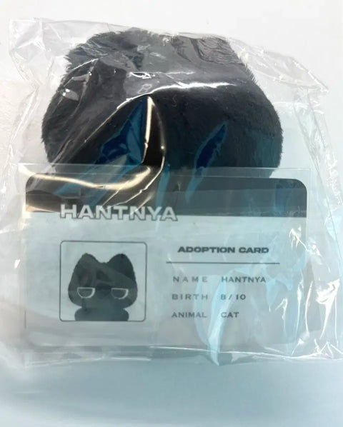 Adoption certificate included) Hantinya Bonekdo Taesan Doll Boynextdoor