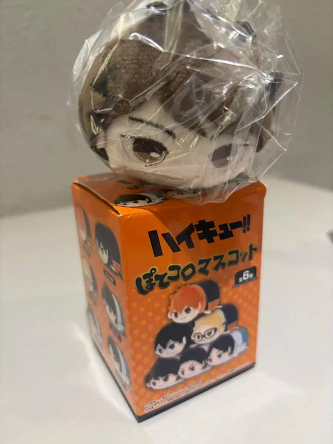 Haikyuu!! Oikawa Tooru