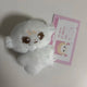 SEVENTEEN Jeonghan doll PongHani transfer