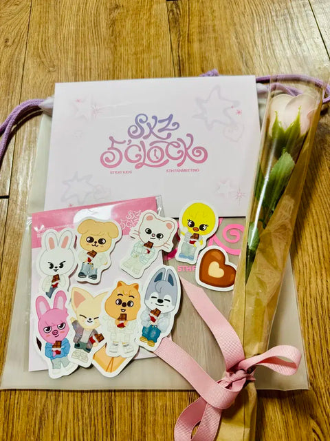 Stray Kids SKZ 5th Fan Meeting STAY ZONE Kit, No Photocards