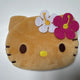 Tanning Kitty Pouch