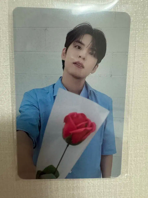 DAY6 concert 50,000 won Wonpil flower photocard