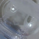 Bongbong's parts