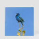 Yoon Ji-young LP Bluebird