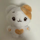 BOYNEXTDOOR Woonhak doll transfer