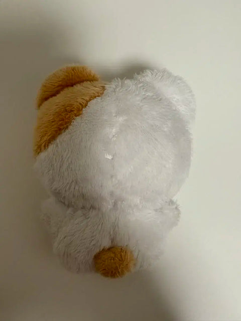 BOYNEXTDOOR Woonhak doll transfer