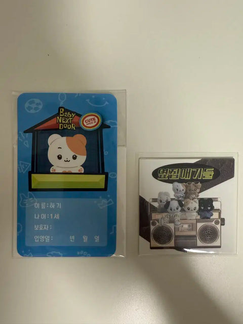 BOYNEXTDOOR Woonhak doll transfer
