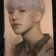 Hoshi Spider Photo Transfer