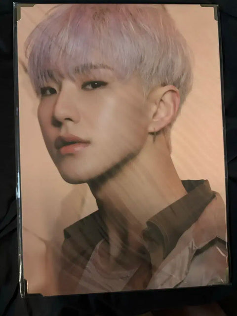 Hoshi Spider Photo Transfer