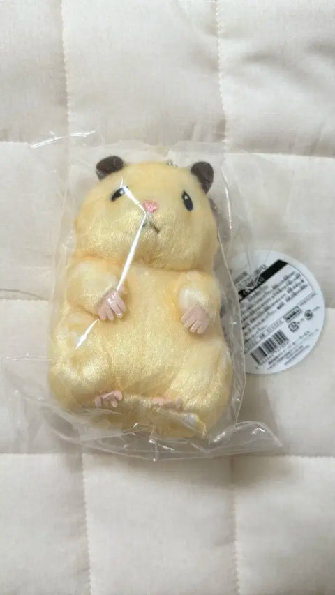 Ddungjjung Ham Sung Han-bin Doll Unopened