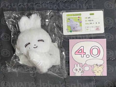 SEVENTEEN Jeonghan doll Nupjjong transfer