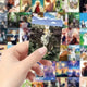 Natsume's Book of Friends Anime Stickers