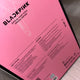 BLACKPINK Light Stick BByongbong Ver. 2 Special Edition