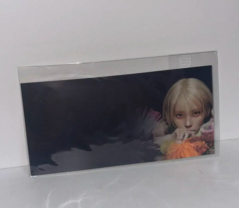 Unopened IU Concert Early Bird Pick-Up IU Ticket Holder