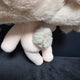 FF14 Estinien 20cm Plush Doll