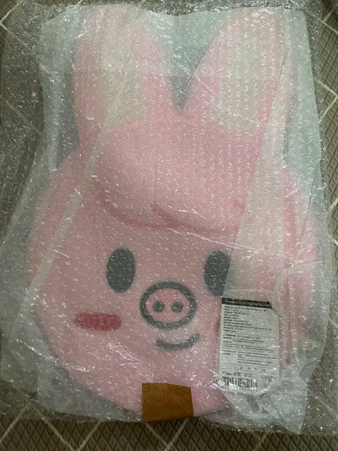 Stray Kids Changbin Uchiwa Cover