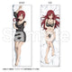 Fairy Tail Erza Dakimakura Cover Official Unopened